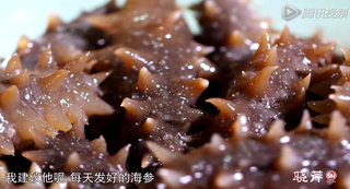海參進(jìn)補(bǔ)從娃娃抓起，兒童吃海參的好處！