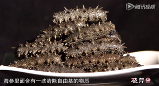 孝敬父母，為何首選海參？